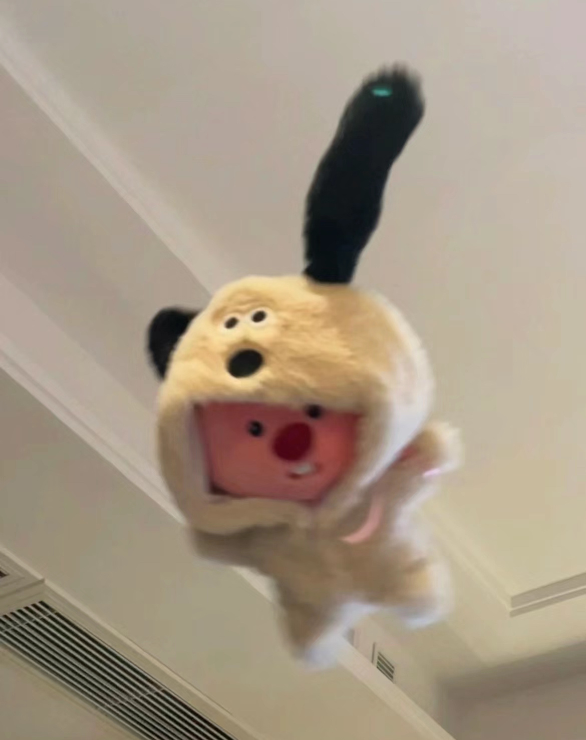 萨瓦迪卡很适合我这种E人，每天都在和陌生人畅聊。我甚至能和中介畅聊一小时不带冷场