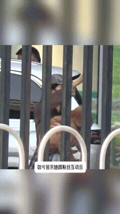杨紫跟家人聚餐庆祝获奖 谁被杨紫这份温柔治愈到！获奖回京先抱着小狗和粉丝亲切互动