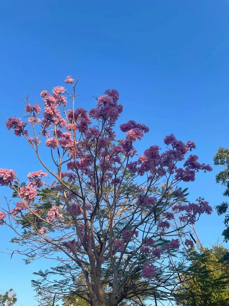 生活处处是艰难呀！
  活了50岁了，生活却过得不尽人意，健康方面，经济方面都让