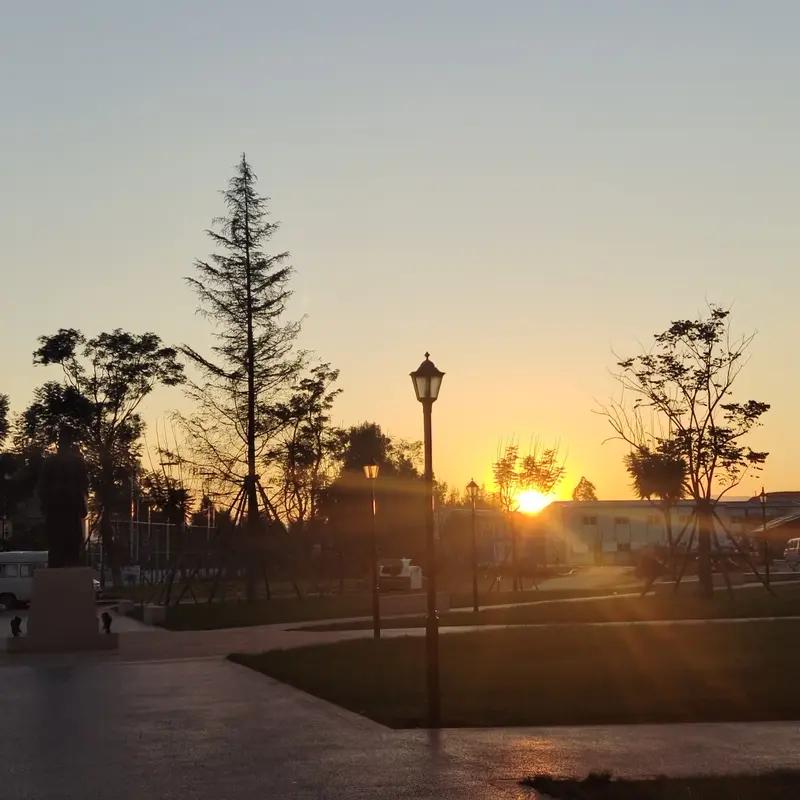 今日感悟颇多。生活不是赛跑，而是旅行，得好好欣赏沿途风景。很多时候，我们一心往前