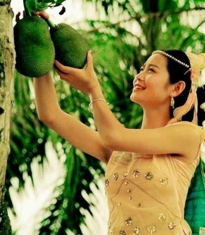 1972年，知青罗盛华，偷摘了 傣族 老乡家的木瓜，被抓了个正着。罗盛华拿出2元