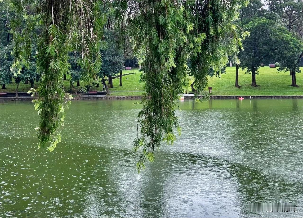 （1348）：一场夏雨一场梦，珍惜当下，不负韶华，勇敢追梦。