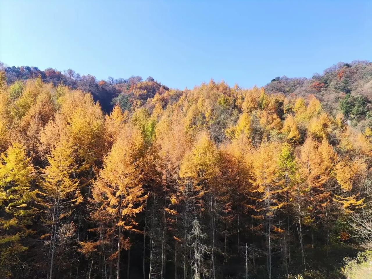 人生不易
要好好珍惜
别想太多
那是在折磨自己
过去的已经过去
别让鸡零狗碎的琐