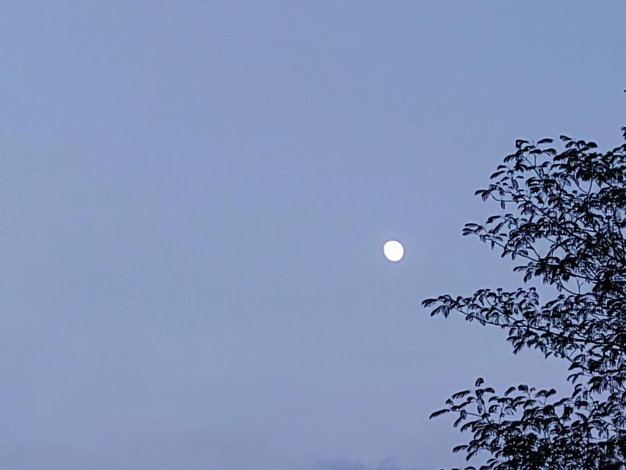 七绝·夜半
秋风落叶月清凉，
静听童孙鼾息长。
老鬓不知霜露重，
犹披寒色踏星光