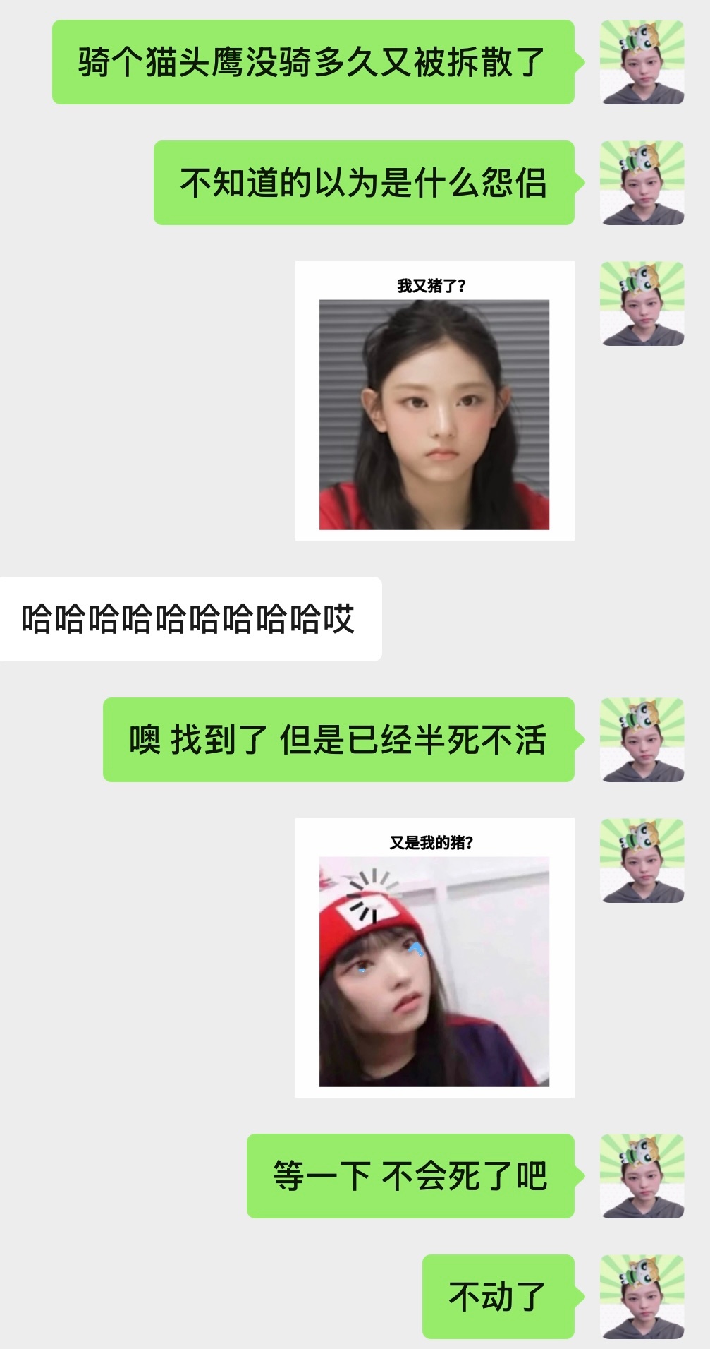 品鉴 ​​​
