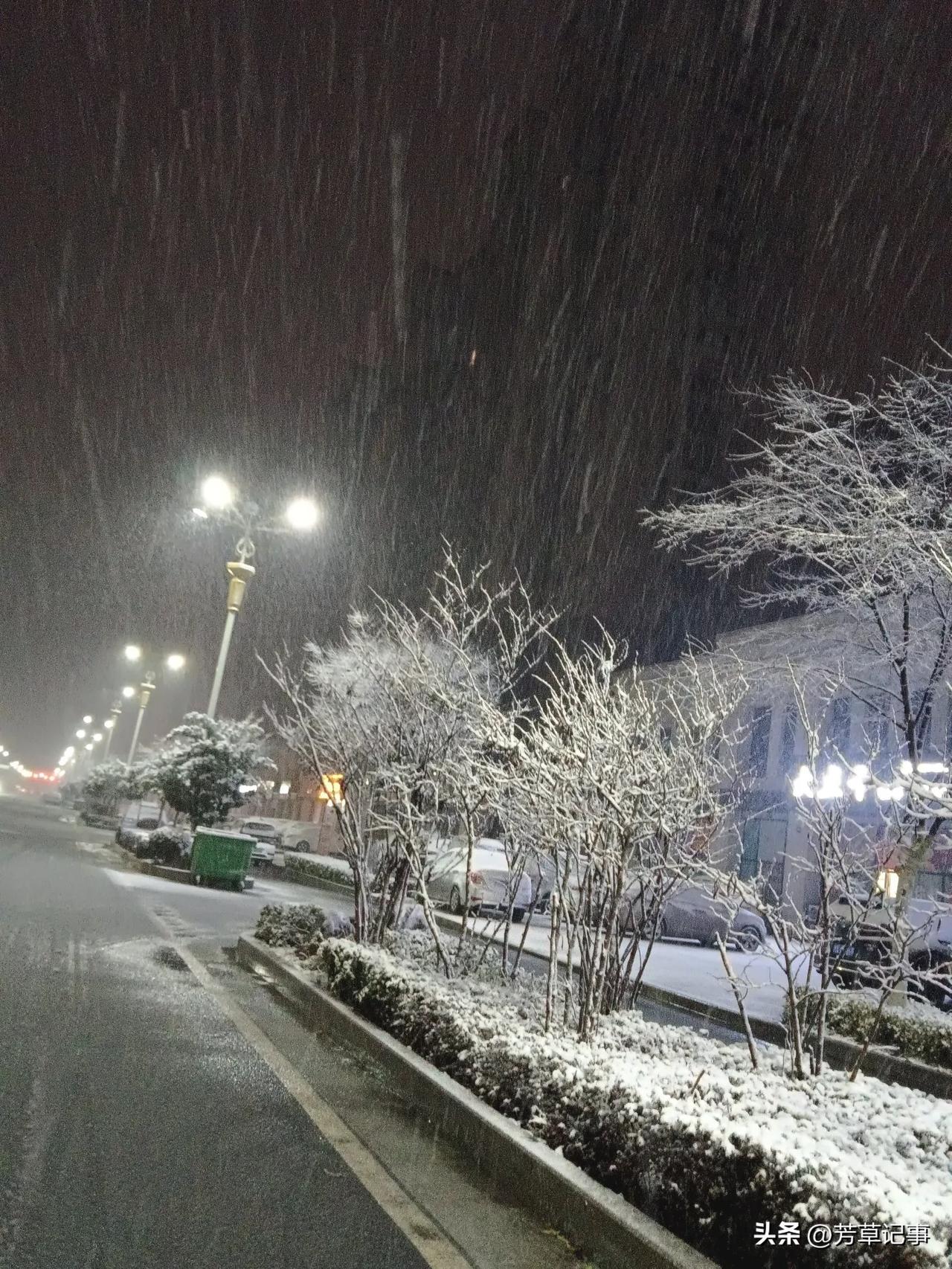 昨天夜里下班已是十一点多了。
天上的雪花纷纷扬扬，伴着阵阵寒风飘过让我打了一个又