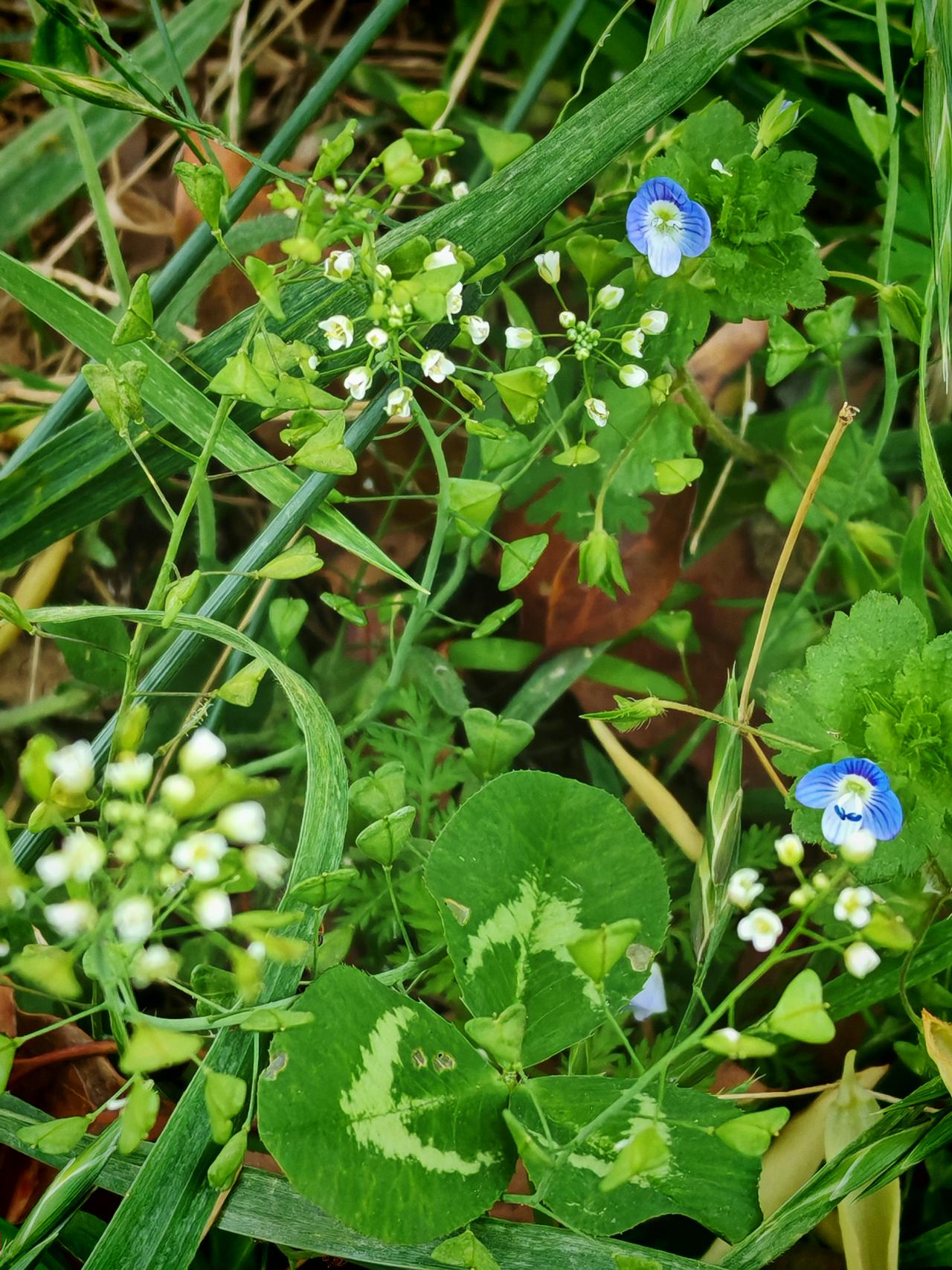 美好一天开始了