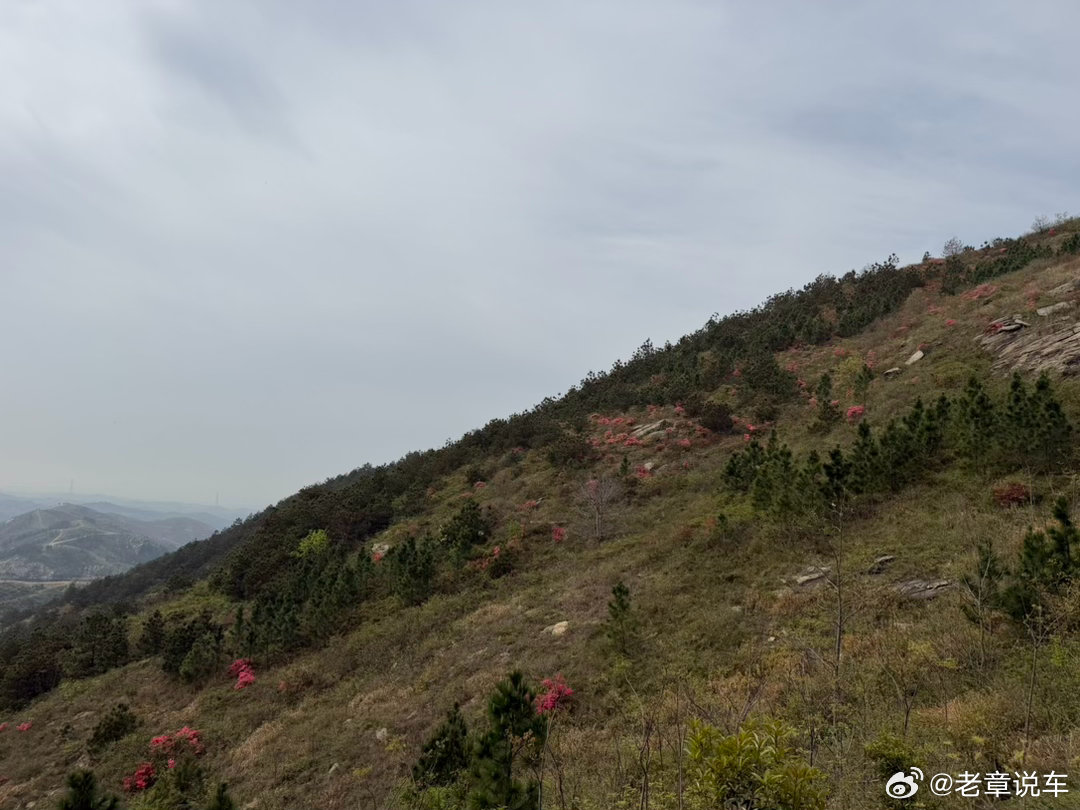 根本爬不动啊！ 