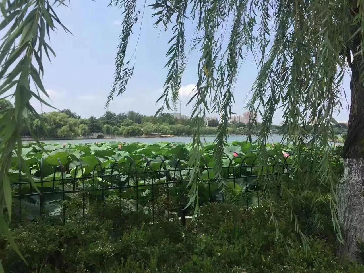 #上联：昨夜清风梳绿柳，如何对下联#
            昨夜清风梳绿柳
 
