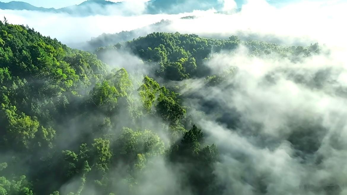 海南岛有多神奇？《海南岛有多神奇？》是一部自然地理科普纪录片，由比亚迪和星球研究