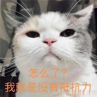 #邓伦# 明明是六亲不认的老大爷式前进步伐，但每一下都走在我们的心巴上[开学季]