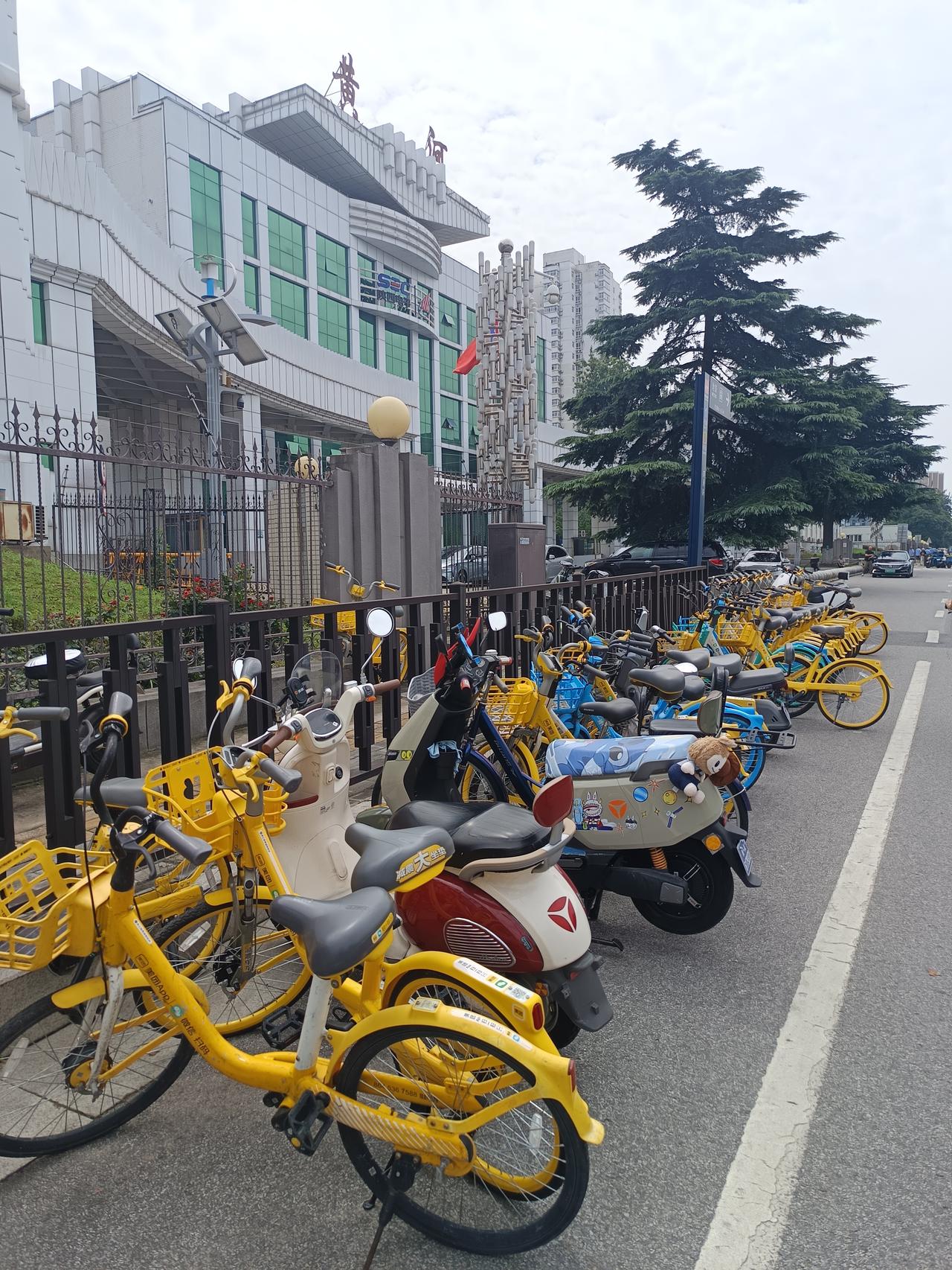 美团共享单车，摆放在马路上，占用一条非机动车道，这种情况持续很久了，不知道谁来管