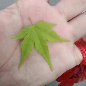 风云信息搬运工