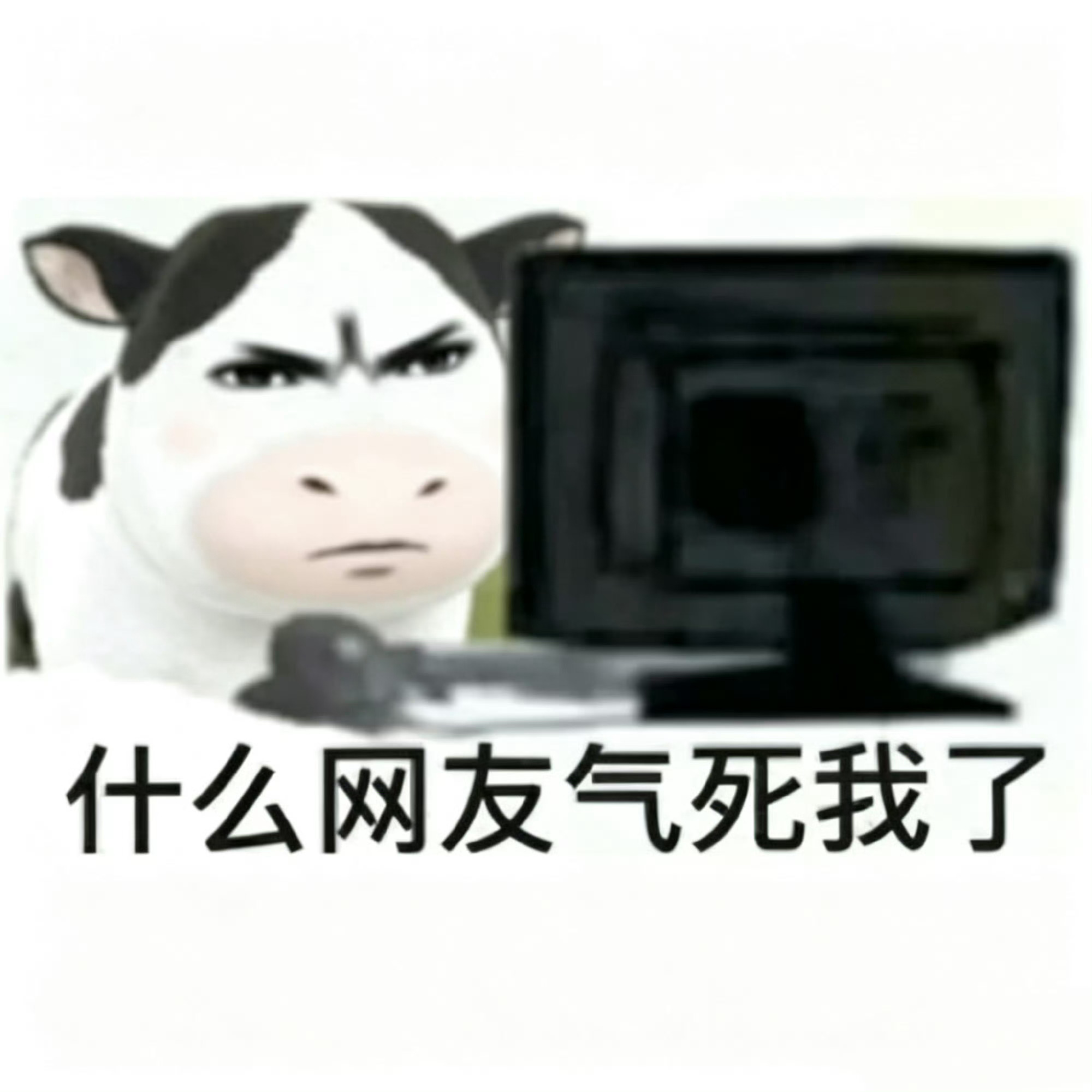 我每天： 