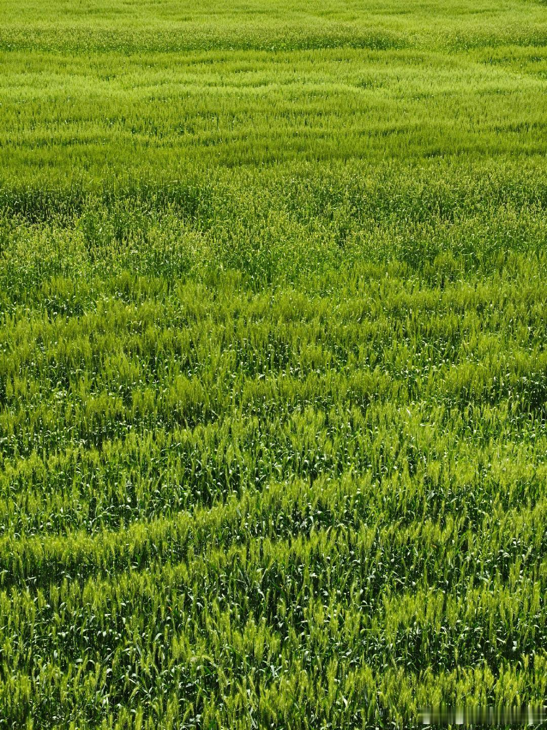 和春天见一面🍃 （