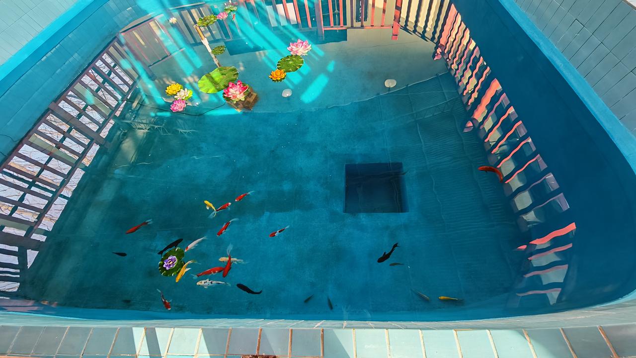 晒图笔记大赛 参加晒图笔记大赛，必须得秀一秀这梦幻水下世界。
那海底就像梦幻仙境