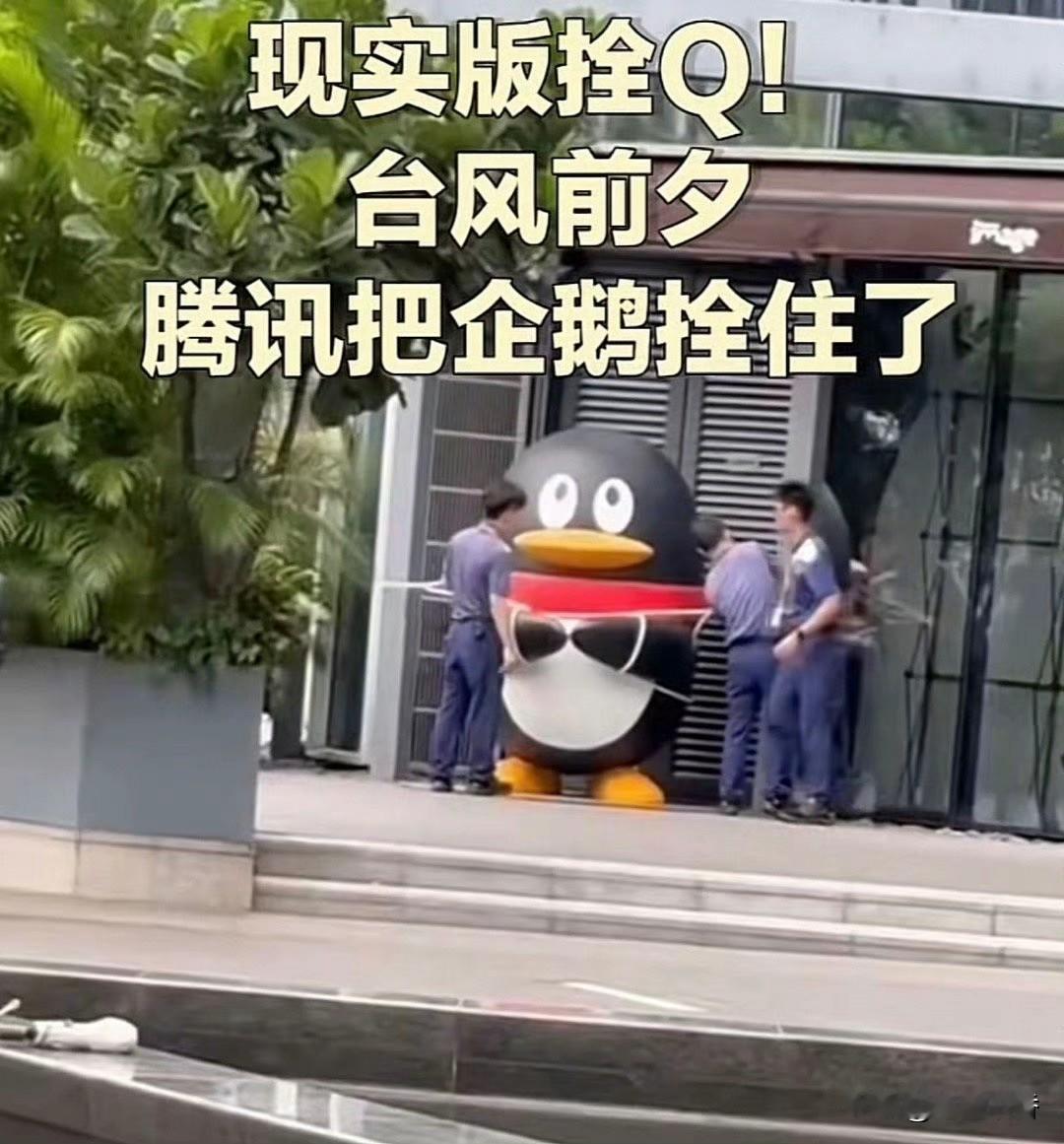 这下是真的拴Q了

据台风预警，桦加沙即将在广东珠海到湛江一带沿海登陆。腾讯官方