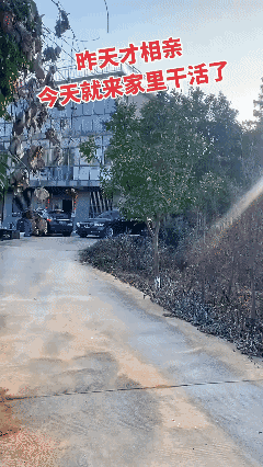 这哥们突然间就勤快起来了啦[捂脸]