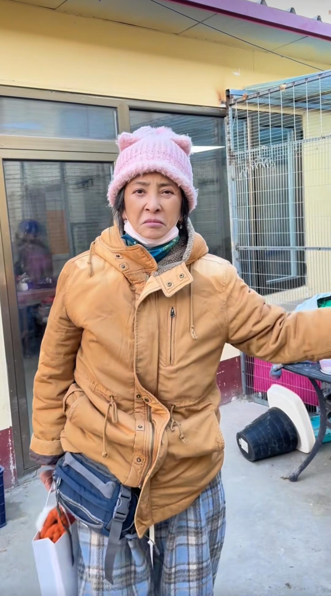 原来明星也喜欢流浪狗，不光喜欢，还收养，不光收养，还收养了一群。

李勤勤这个老