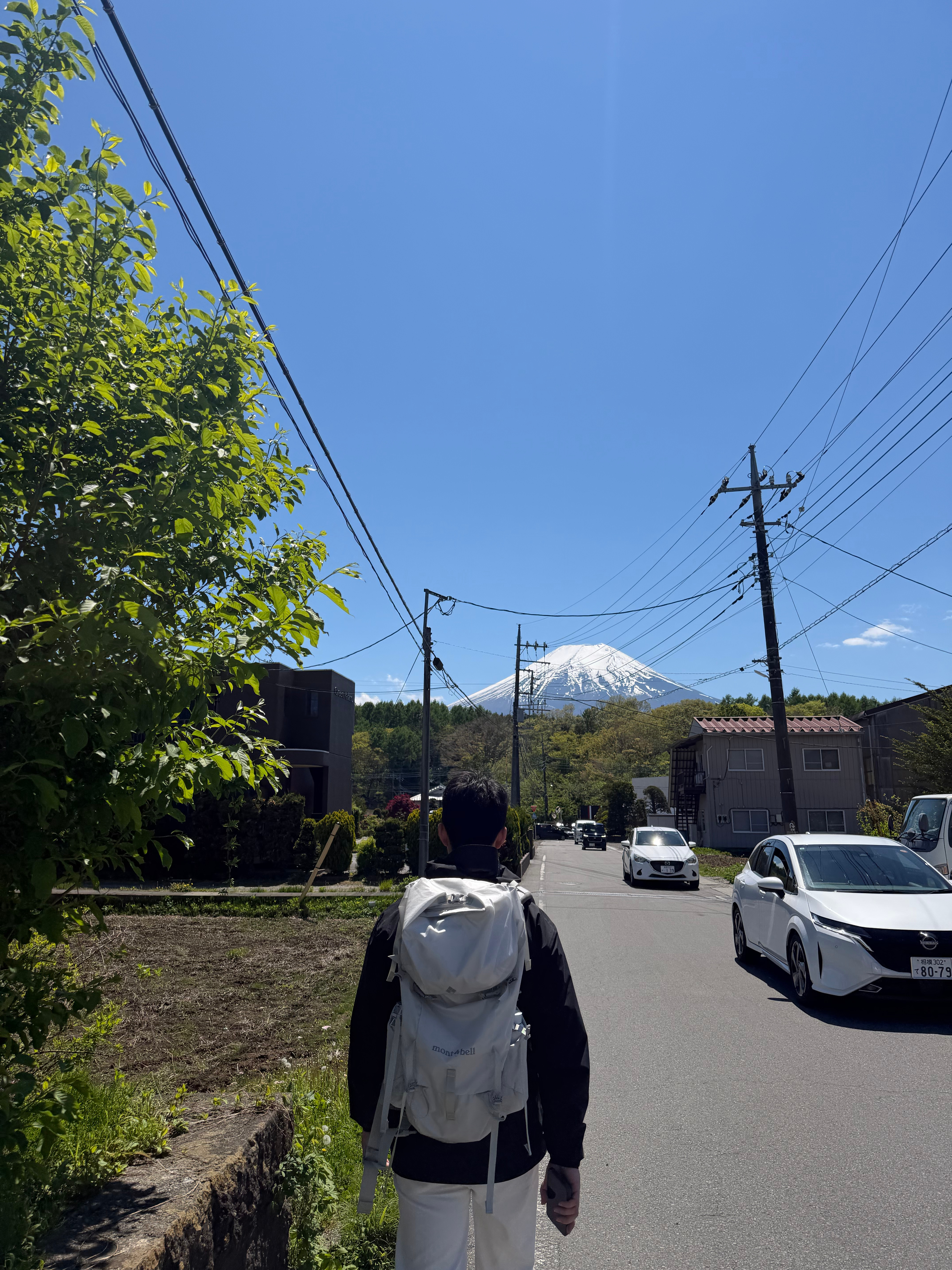Mount Fuji🗻🦢 