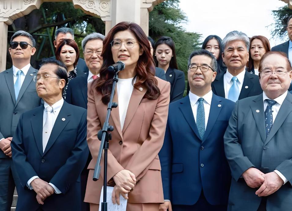 民进党为何"敢怒不敢抓"？郑丽文背后的"保护伞"让民进党无计可施。

很多人纳闷