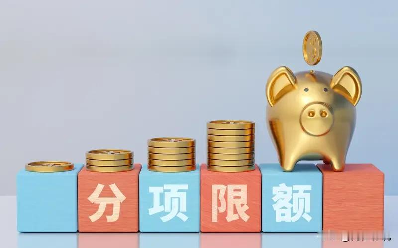 个性化分期怎么快速成功?个性化分期（通常指信用卡或贷款的停息挂账、协商分期）想要