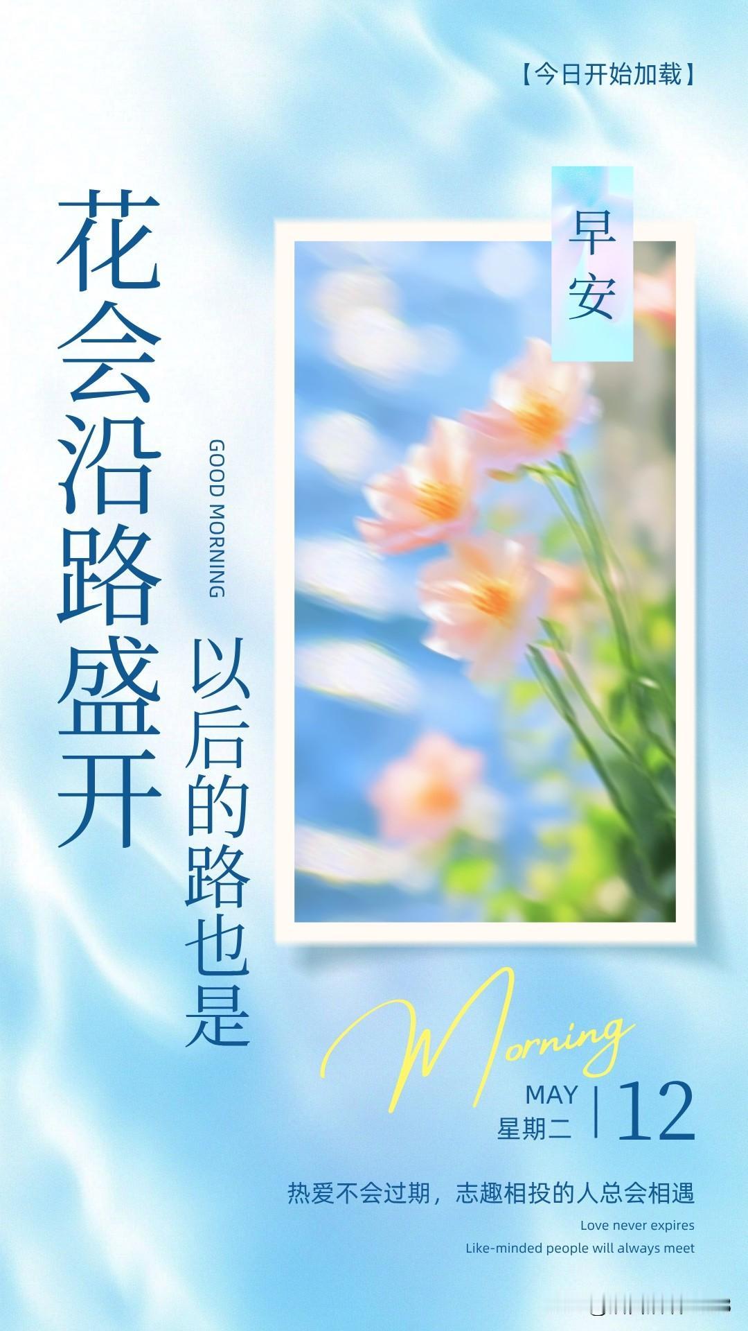 ²⁰²⁶/₀₅.₁₂ 周二｜一键复制发⭕，晨光为墨，书写五封给灵魂的情书🌸🕊