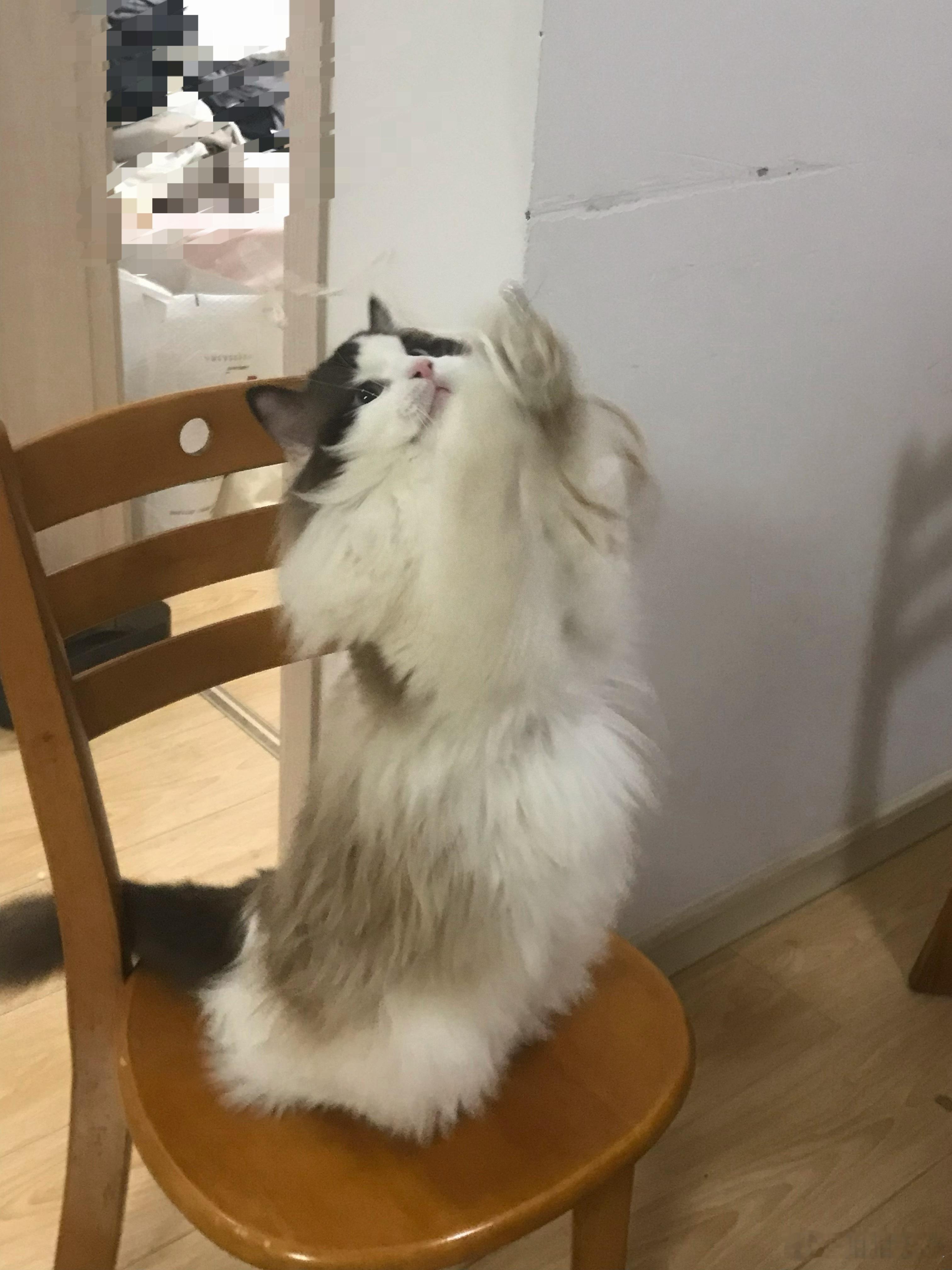 抓拍到了如此萌的几张照片