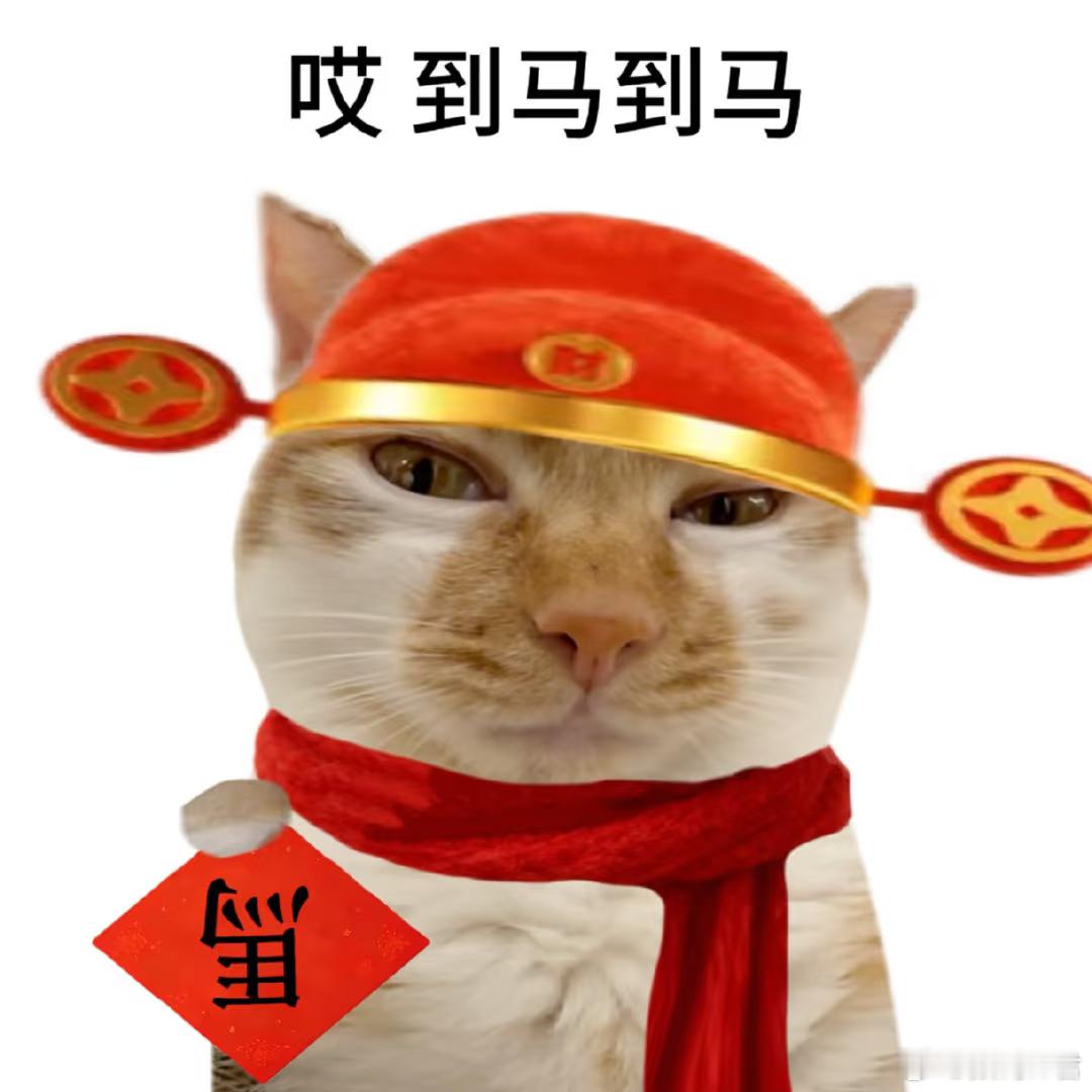 支付宝集福卡网友说这是仅剩的年味了，今年，你们还会参与这过亿的大项目吗？