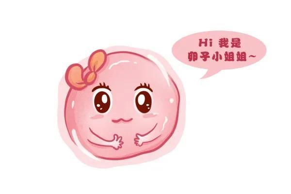 #健康真探社#【春季居家养卵这四点很关键！】春天是一个孕育生命的季节，《黄帝内经