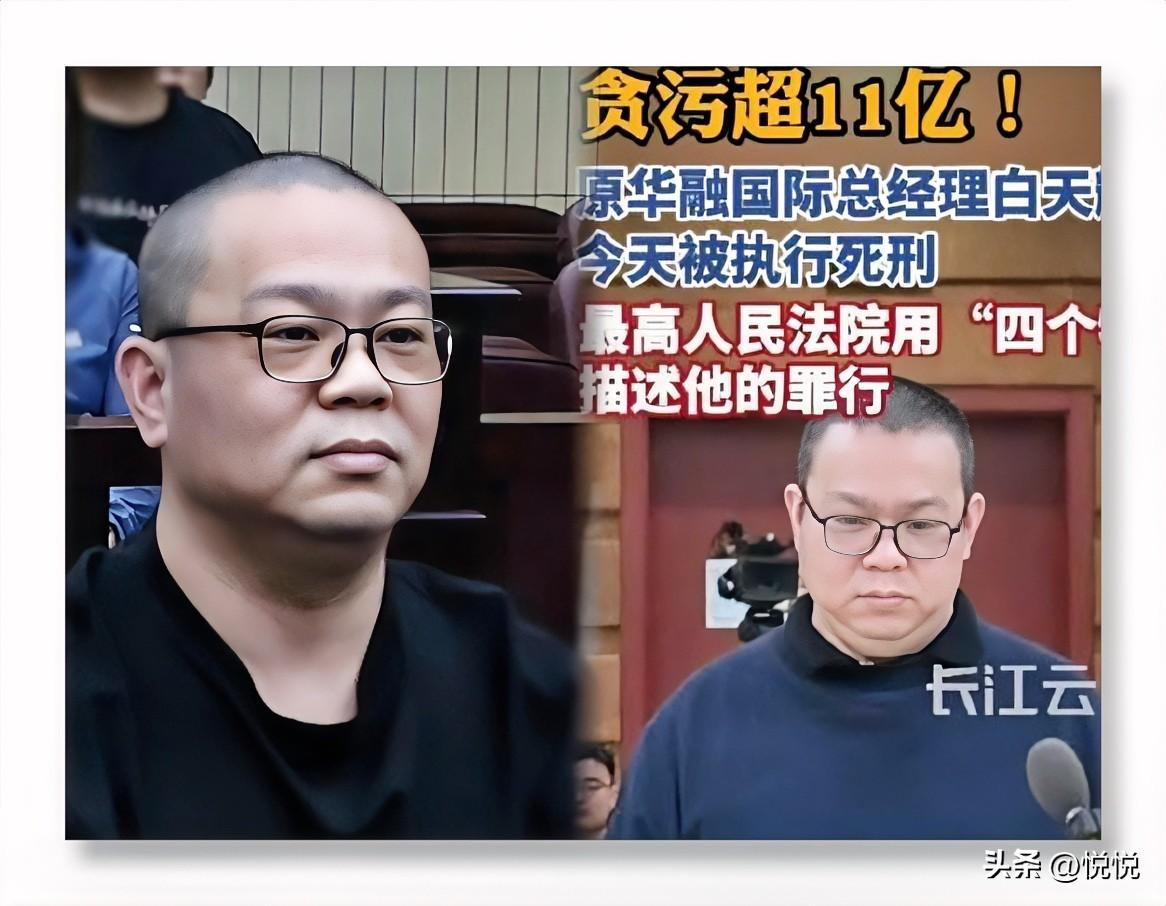 11个亿，这数字放在那儿，我都觉得烫眼睛。

白天辉这案子，看得人心里五味杂陈。