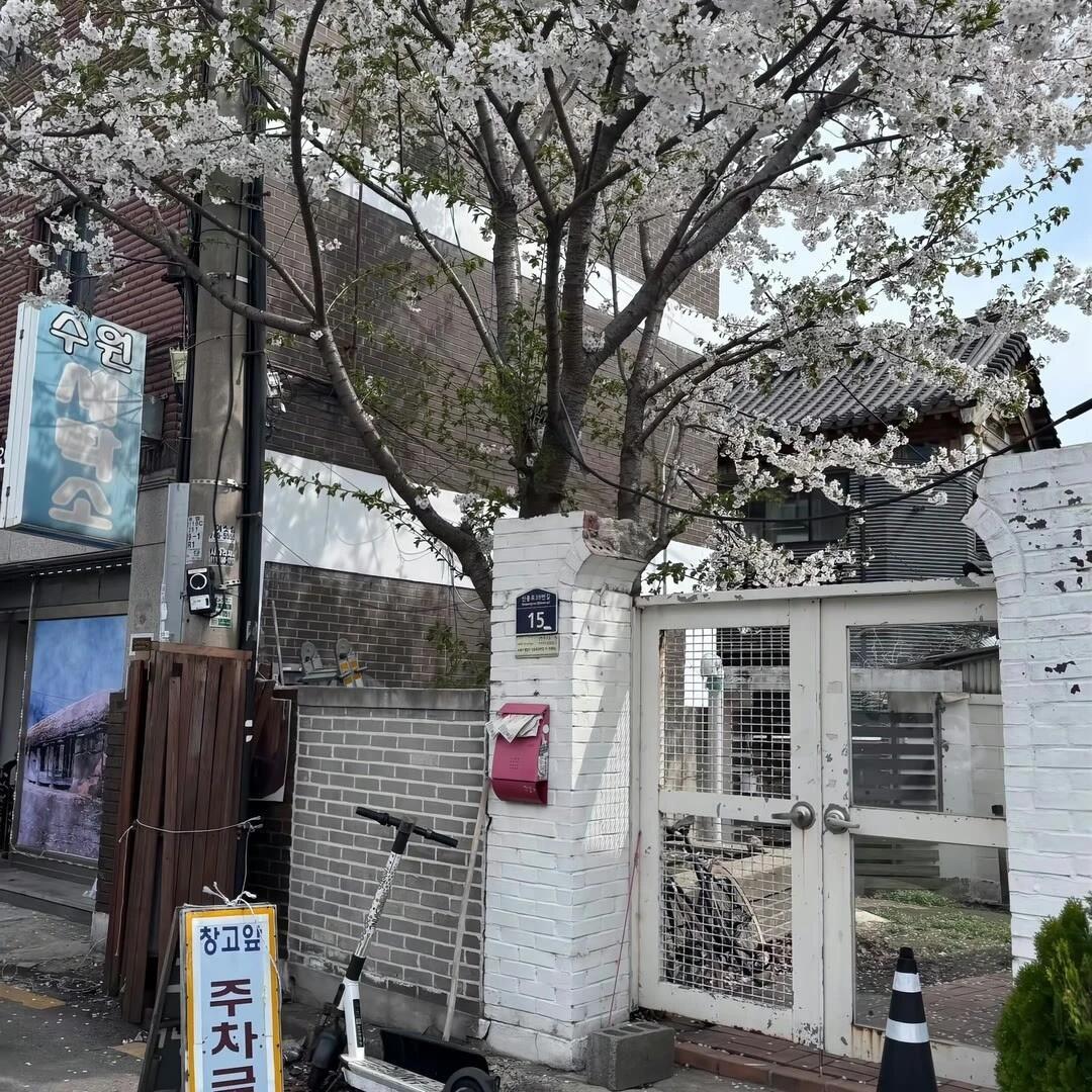 𝐒𝐇𝐀𝐑𝐄｜一组收藏长期不换的背景图 