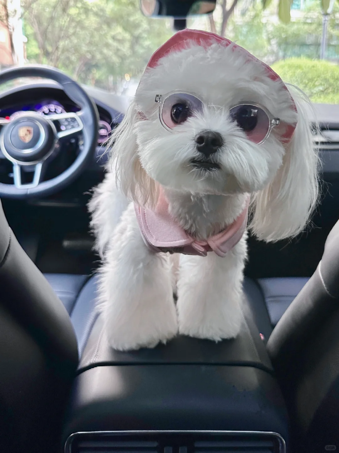 家家有本难念的经