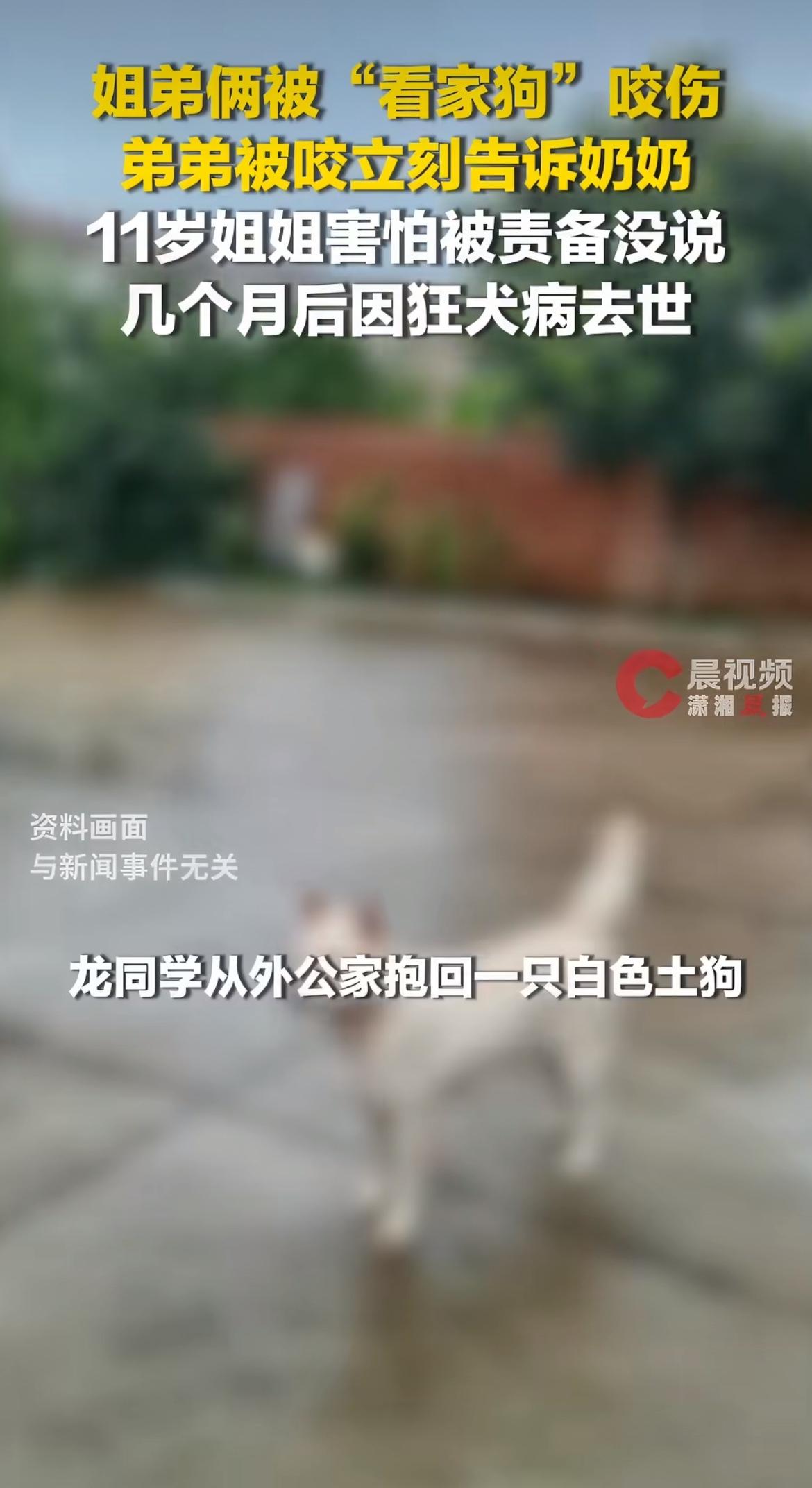 “不被爱的小心翼翼！”同样是被家里养的土狗咬伤，弟弟及时告诉家人啥事没有，11岁