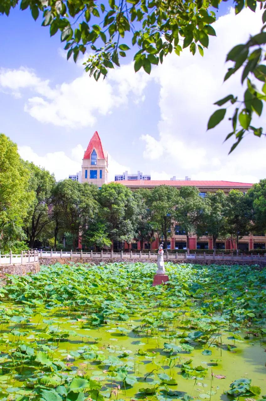 绝句/学府荷韵

荷叶田田展绿韵，
荷花朵朵舞娉婷。
学府雅院景色醉，
暗香浮动