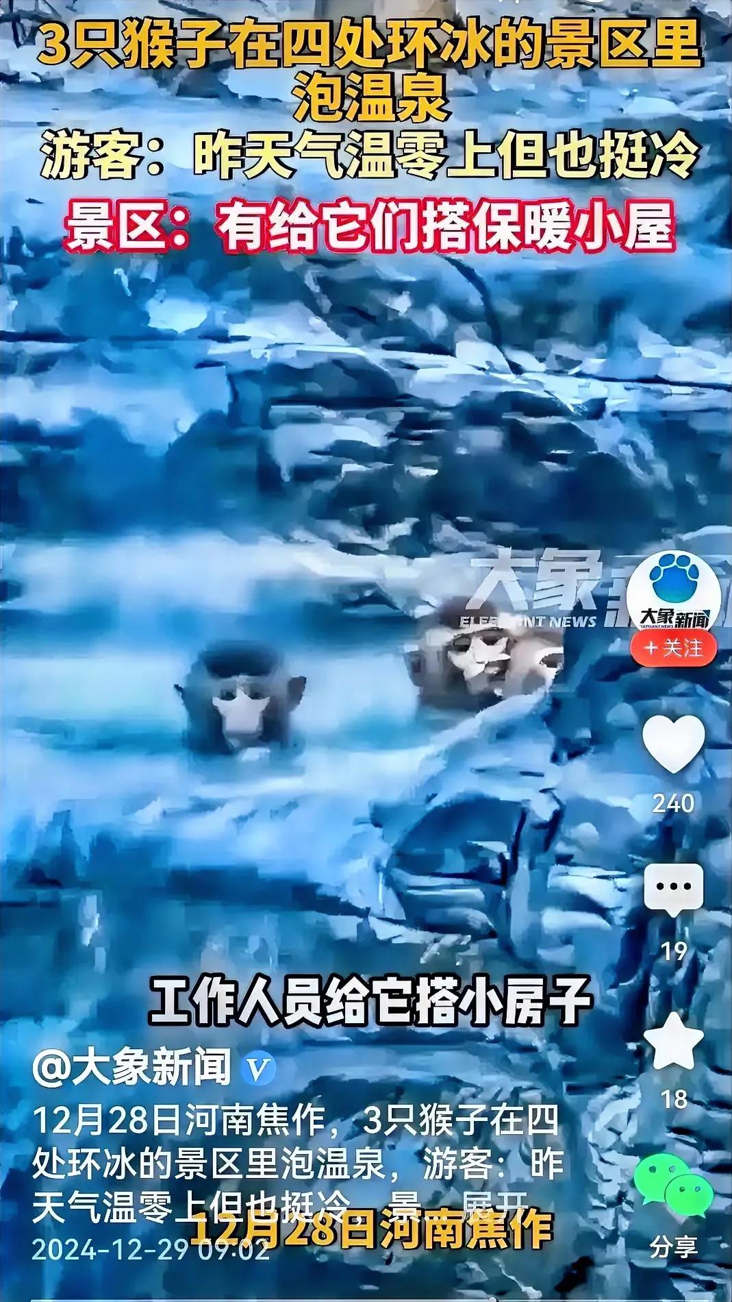 还真是，视频里的3只猴子在四面结冰的温泉里泡着，看情形应该是两只大猴一只小猴，一