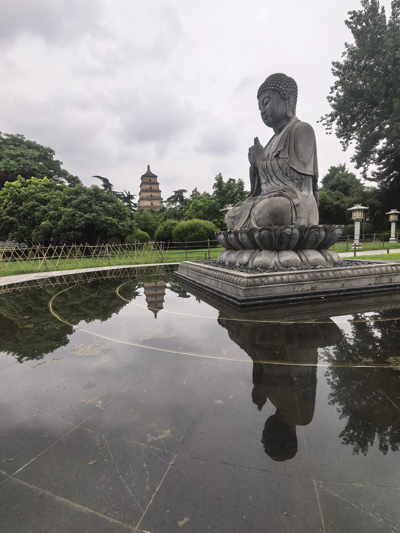 菩萨劝我断了念想，我偏不！
      
今儿个阴天雨后，夏风习习，清清爽爽的，