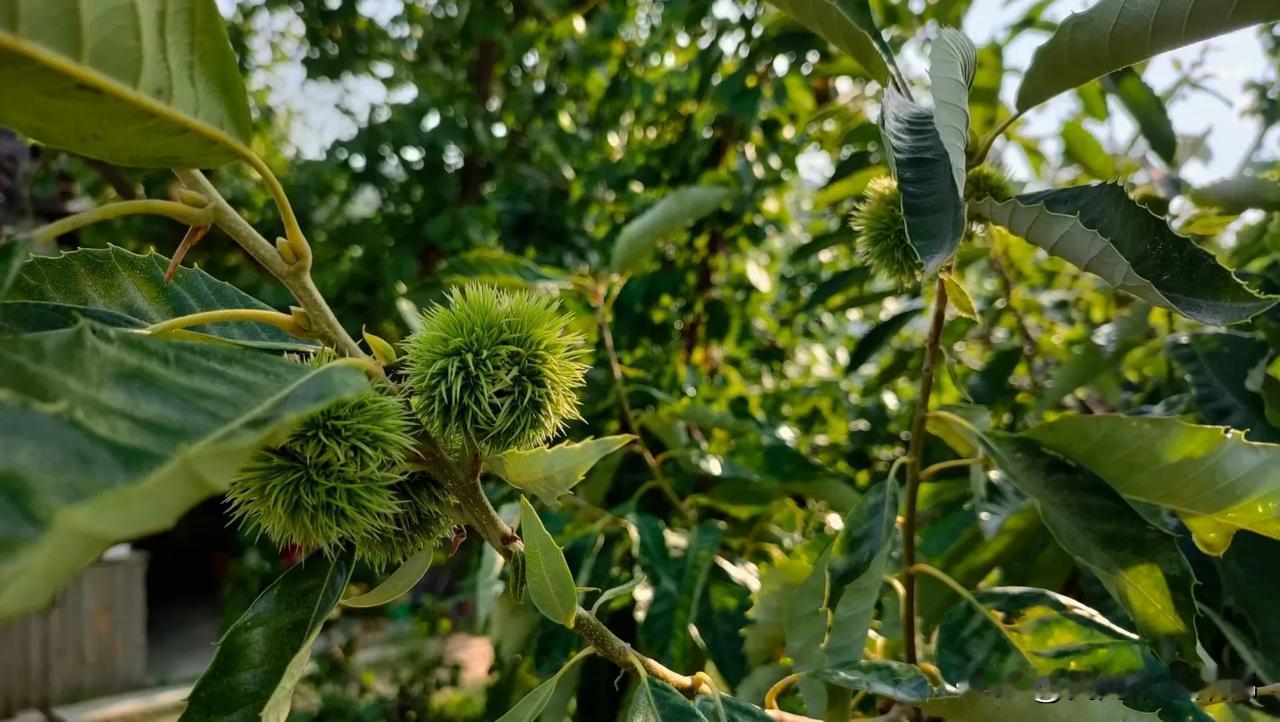 你有你的想法，我有我的选择，