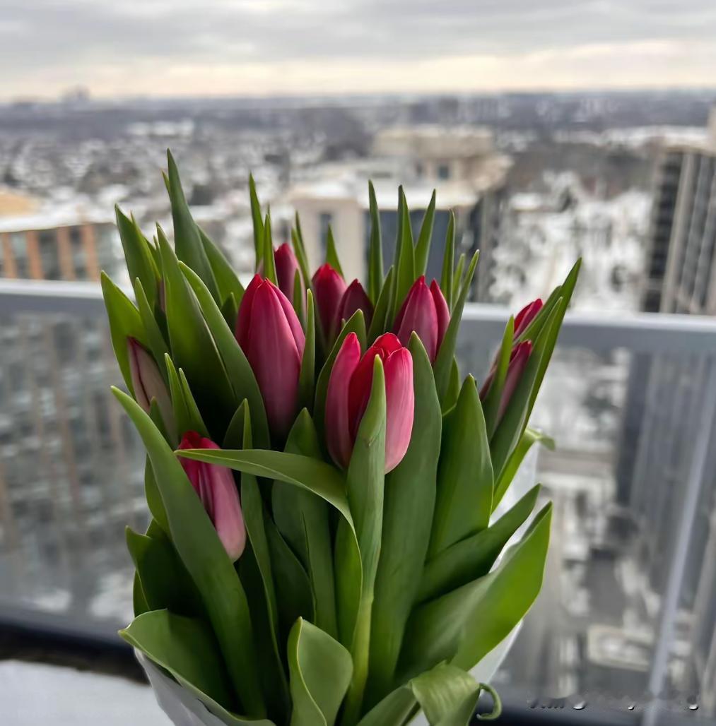 集卡点灯领现金我正在参加集卡点灯分20万春节活动。集卡点亮灯笼，可获得现金奖励，