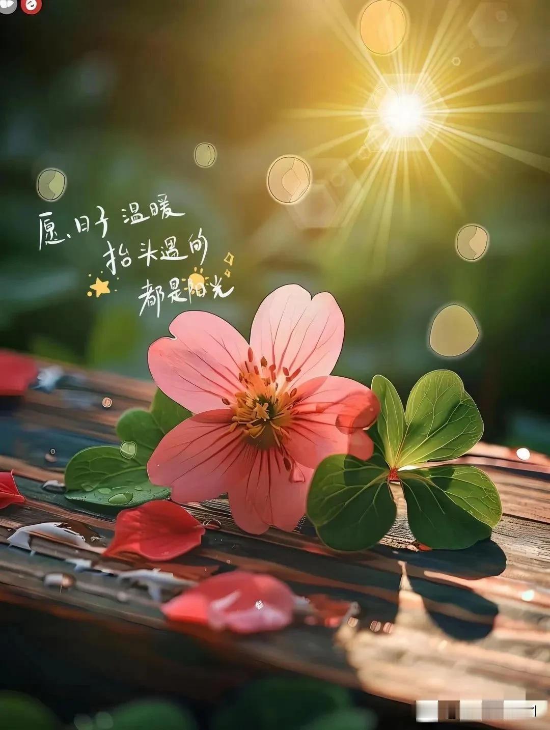 
其实这个世界上任何关系都是相互的，人因不惜而散，心因不真而凉。人最怕的就是信任