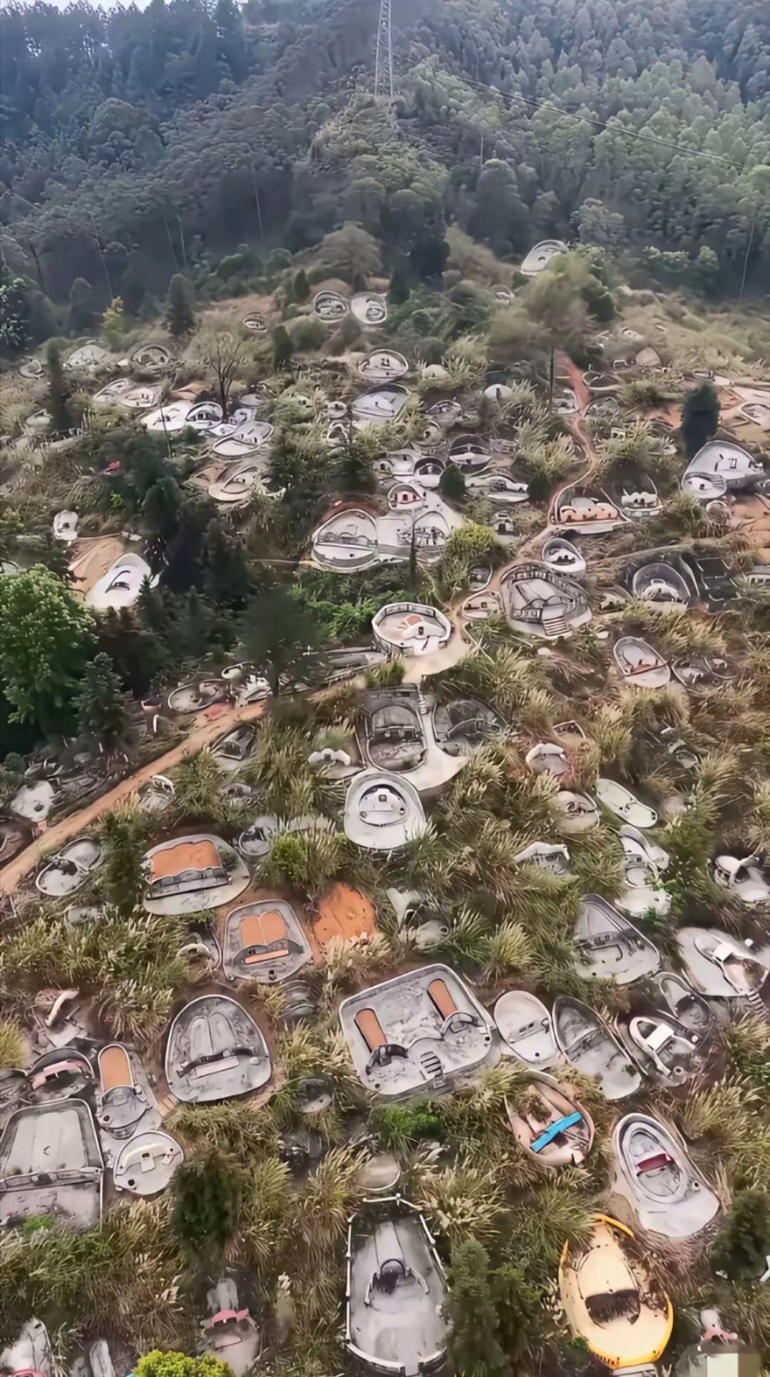 为啥国家不推行土葬，这也许就是答案吧 