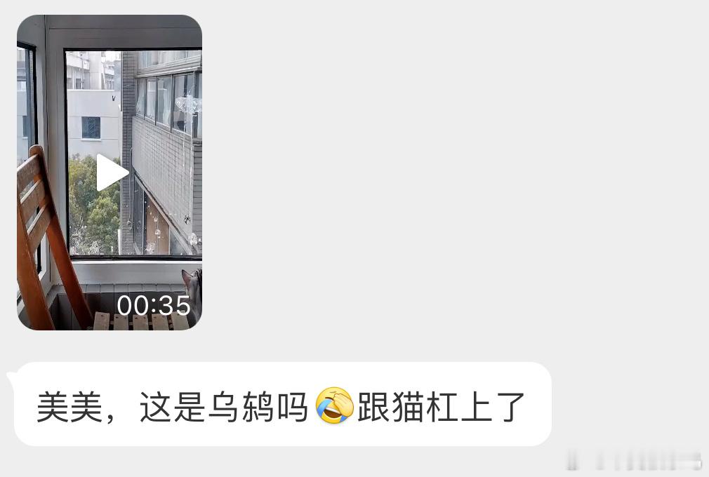 笑死 进击的乌鸫[开学季]窗户上的粑粑很快就会被糊满的 ​​​