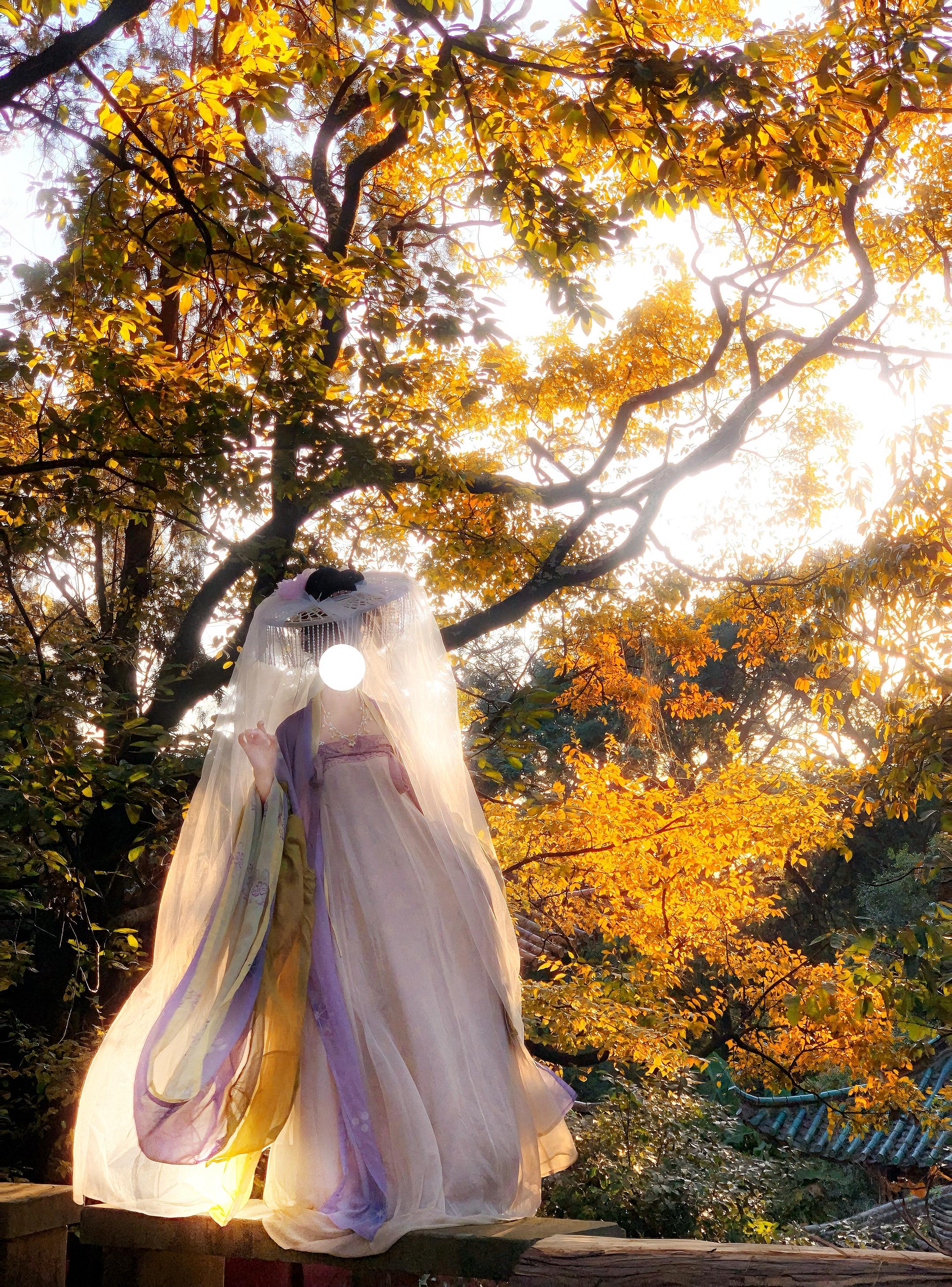 人生若只如初见 何事秋风悲画扇。