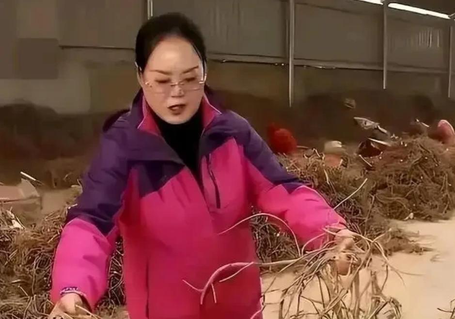 甘肃一女子不顾劝阻，豪掷千万买下万亩荒地，13年后，地里的宝贝让她年入2.7亿。