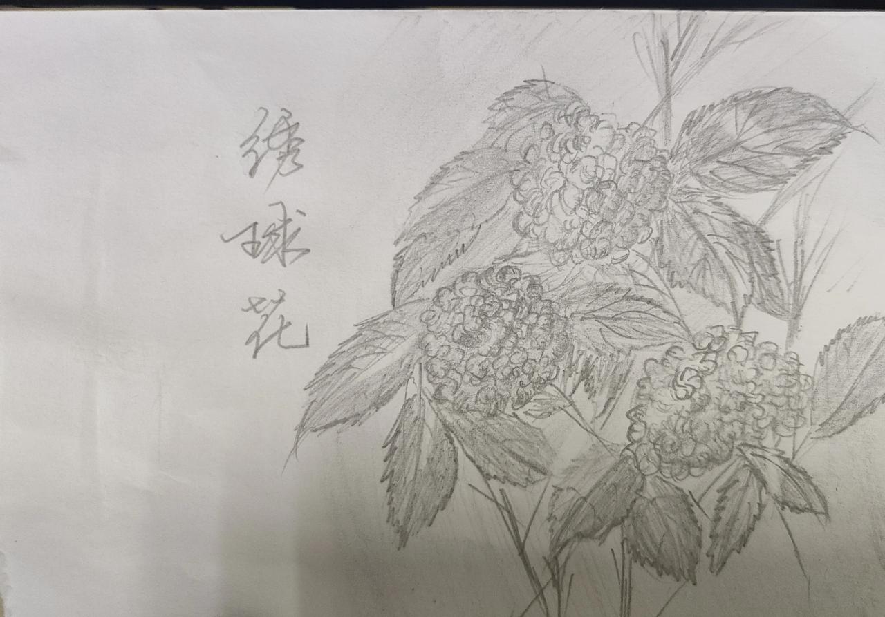 今天是平淡出奇的一天，从早上开始一直坐在工位上玩手机，因为天天喝金银花泡水，不干