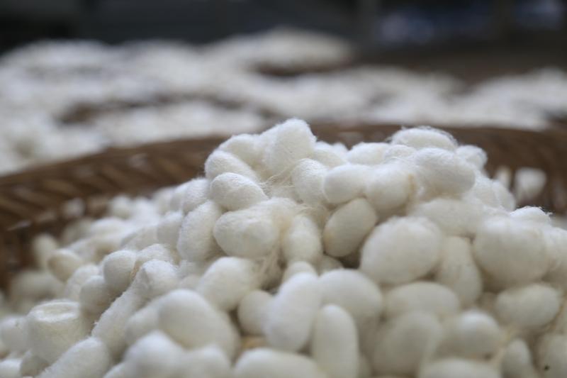 驿前作为县农业大镇，那可是相当有排面！国家在这儿的民生项目超多，这可给当地百姓带