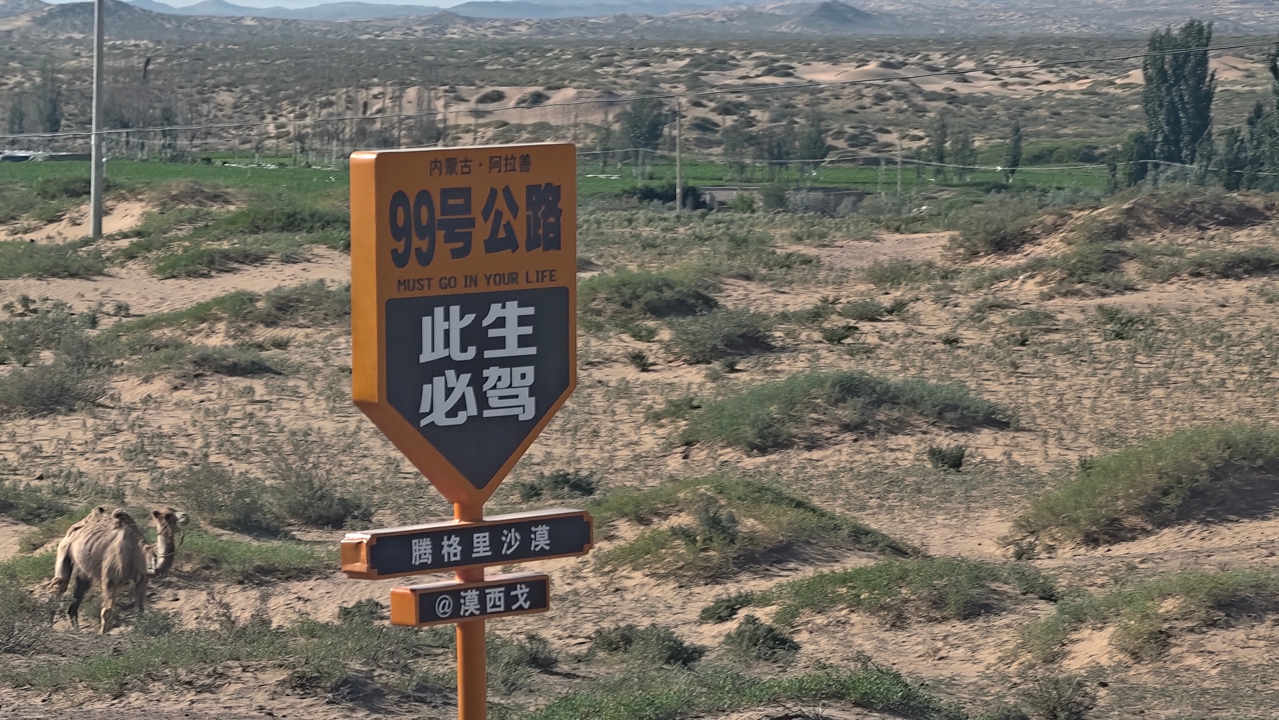 中卫一脚油，进了内蒙古 阿拉善·腾格里沙漠露营地