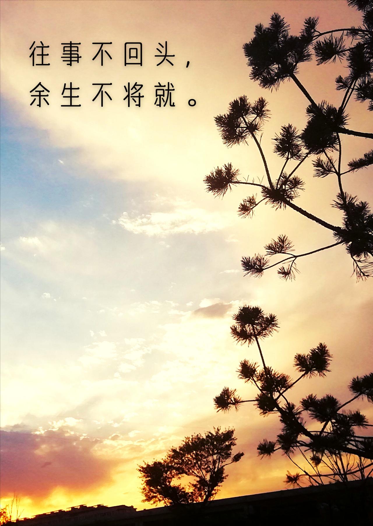一句戳破泡沫的话：
你每天忙得团团转，年底一盘算，啥也没干成。
........