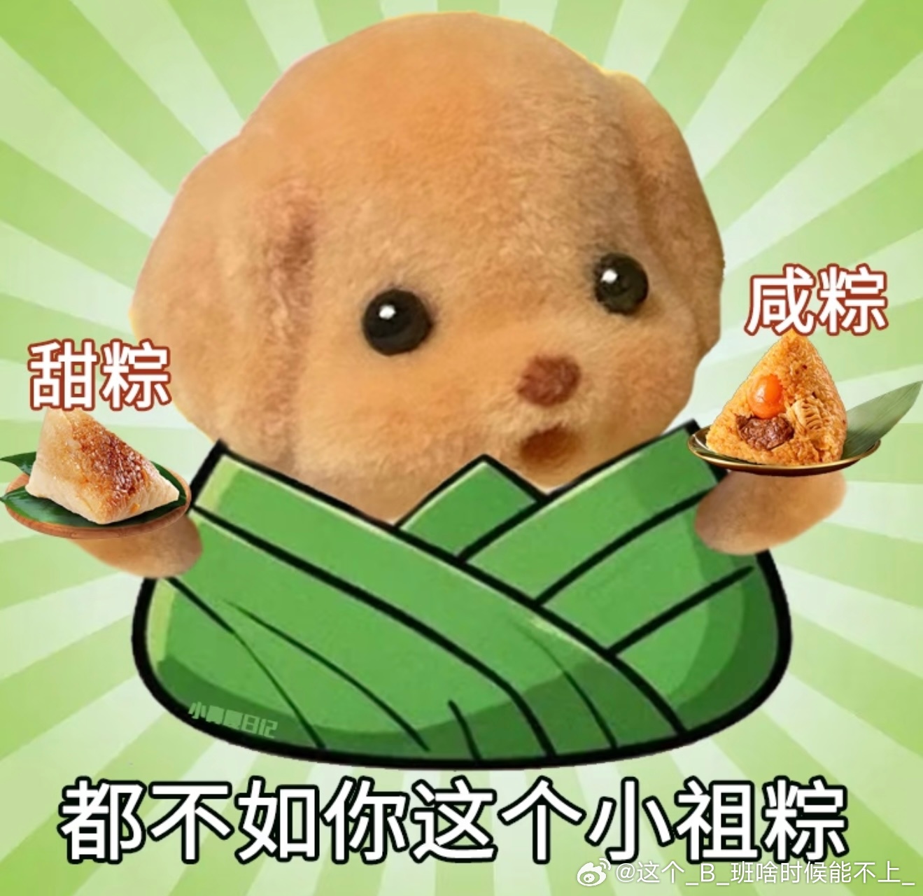 我是甜粽党糯米怎么可以放肉呢