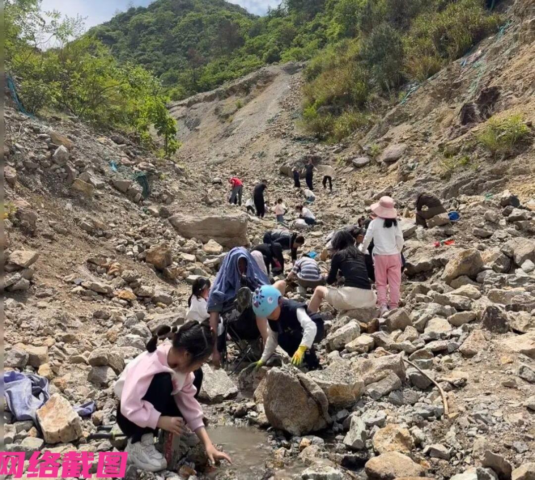 浙江嵊州某处小山村有在阳光下闪耀的石头，以至于这里被众人包围捡拾这所谓的萤石，如